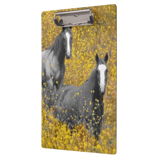 Mosterd en paarden klembord (Links)