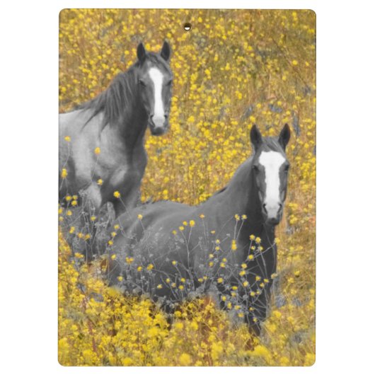 Mosterd en paarden klembord (Achterkant)