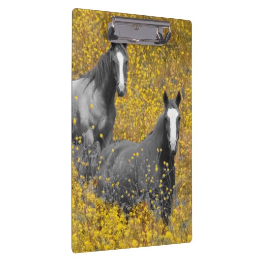 Mosterd en paarden klembord (Rechts)