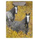 Mosterd en paarden klembord (Voorkant)