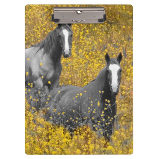 Mosterd en paarden klembord (Voorkant)