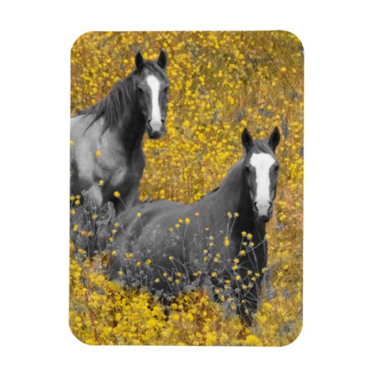 Mosterd en paarden magneet (Verticaal)