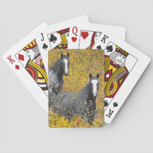 Mosterd en paarden pokerkaarten