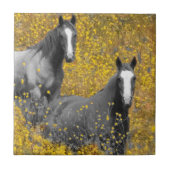 Mosterd en paarden tegeltje (Voorkant)