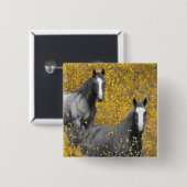 Mosterd en paarden vierkante button 5,1 cm (Voorkant /achterkant)