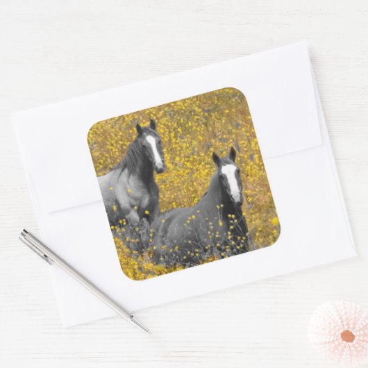 Mosterd en paarden vierkante sticker (Envelop)