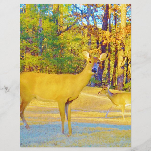 Mosterd gekleurd deer met lichtblauw (Voorkant)