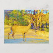 Mosterd gekleurd deer met lichtblauw briefkaart (Voorkant)