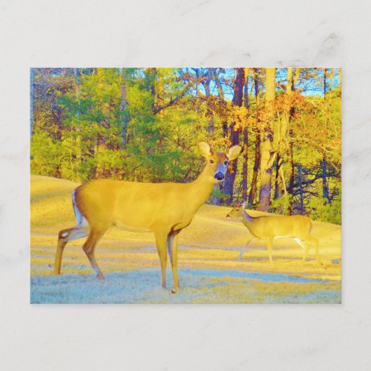 Mosterd gekleurd deer met lichtblauw briefkaart (Voorkant)