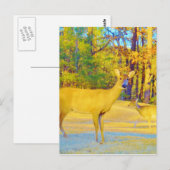 Mosterd gekleurd deer met lichtblauw briefkaart (Voorkant / Achterkant)