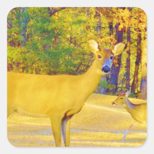 Mosterd gekleurd deer met lichtblauw vierkante sticker