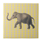 Mosterd Spice Moods Stippen met olifant Tegeltje (Voorkant)
