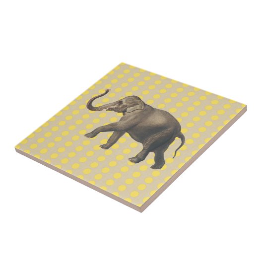 Mosterd Spice Moods Stippen met olifant Tegeltje (Zijkant)