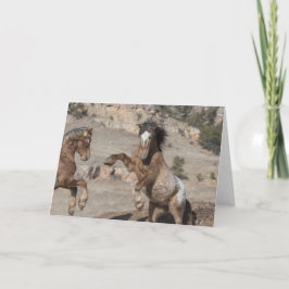 Mosterdharing: Gegroet voor vrijheid Kaart