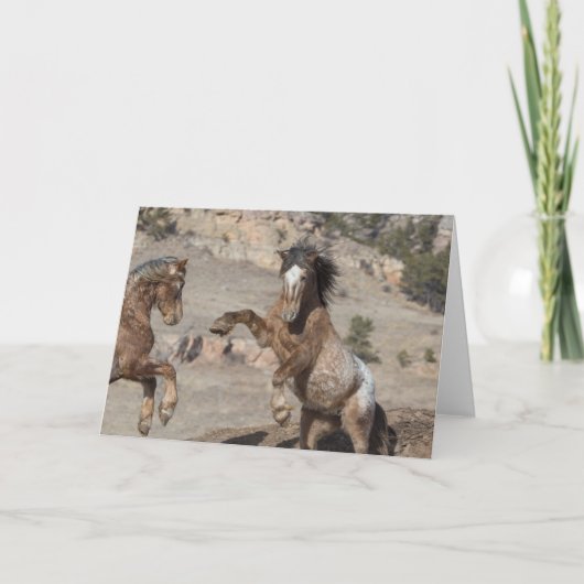 Mosterdharing: Gegroet voor vrijheid Kaart (Voorkant)