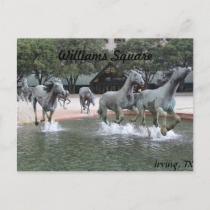 Mosterdschappen van Las Colinas # 27 Briefkaart