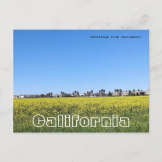 Mosterdveld Briefkaart