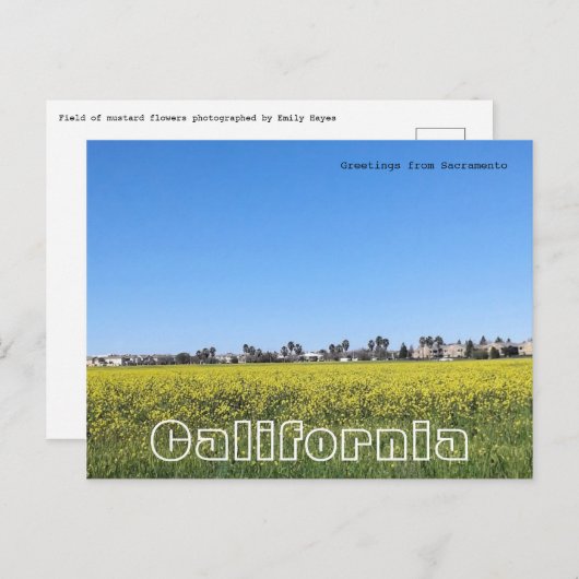 Mosterdveld Briefkaart (Voorkant / Achterkant)