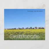 Mosterdveld Briefkaart (Voorkant)