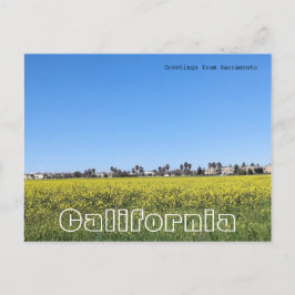 Mosterdveld Briefkaart