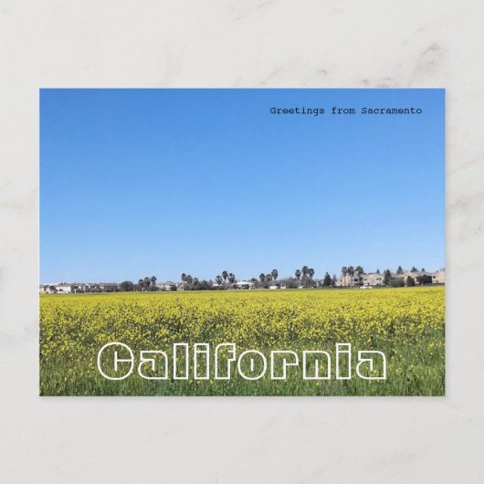 Mosterdveld Briefkaart (Voorkant)