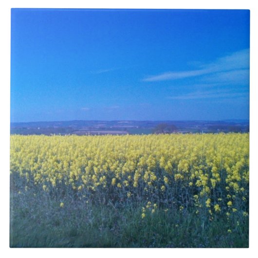 Mosterdvelden keramisch tegel 6 x 6 inch  tegeltje (Voorkant)