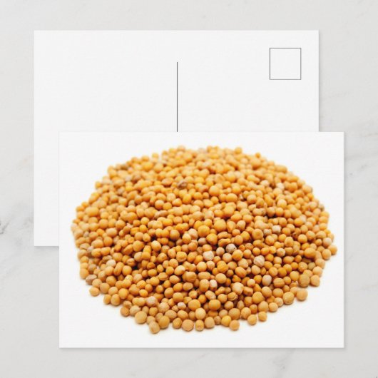 mosterdzaad briefkaart (Voorkant / Achterkant)