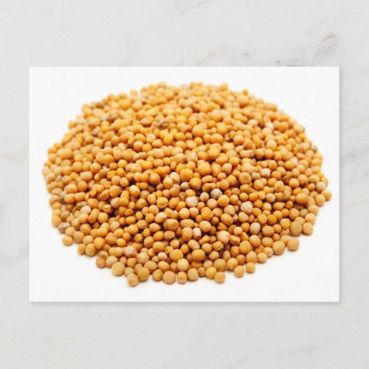 mosterdzaad briefkaart (Voorkant)