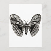 mot briefkaart (Voorkant)