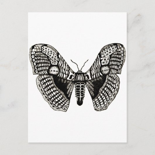 mot briefkaart (Voorkant)