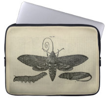  mot metamorfose print