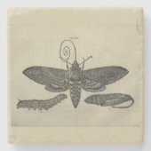  mot metamorfose print stenen onderzetter (Voorkant)