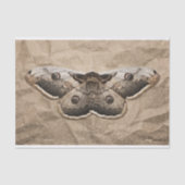 mot tissuepapier (Voorkant)