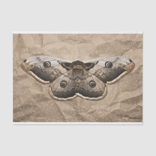 mot tissuepapier (Voorkant)