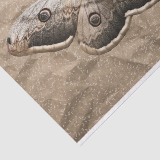 mot tissuepapier (Detail)