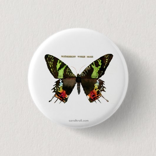 Mote: Madagascan Sunset Moth Ronde Button 3,2 Cm (Voorkant)
