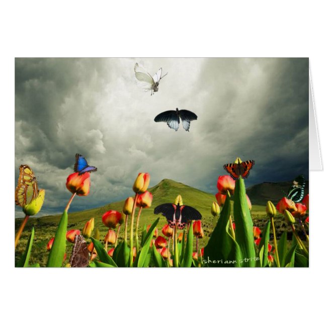 Moten en tulpen (Voorkant Horizontaal)