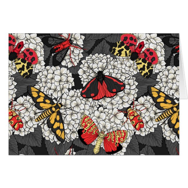 Moten op witte hydrangea (Voorkant Horizontaal)