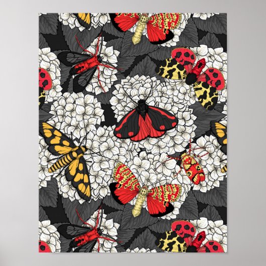 Moten op witte hydrangea poster (Voorkant)