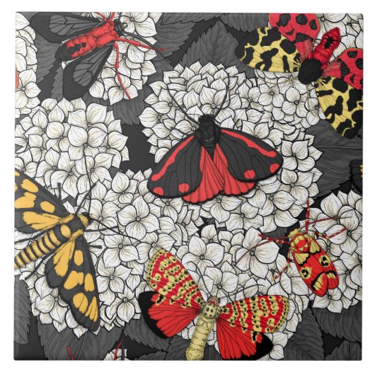 Moten op witte hydrangea tegeltje (Voorkant)