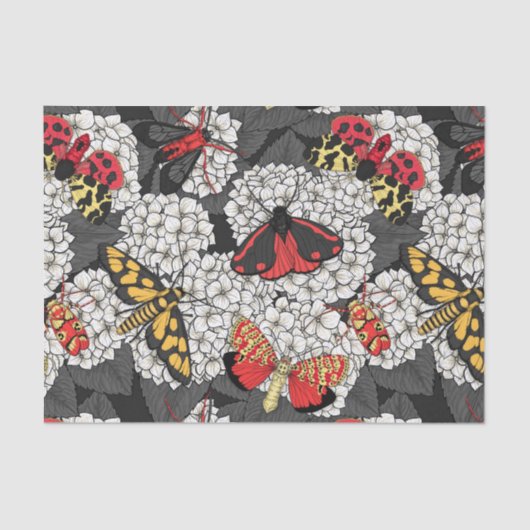 Moten op witte hydrangea tissuepapier (Voorkant)