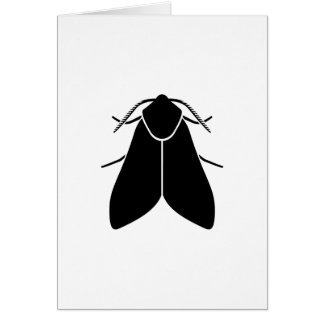 Moth
