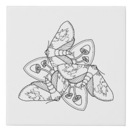 Moth and Mushroom Symmetrische Illustratie Imitatie Canvas Print