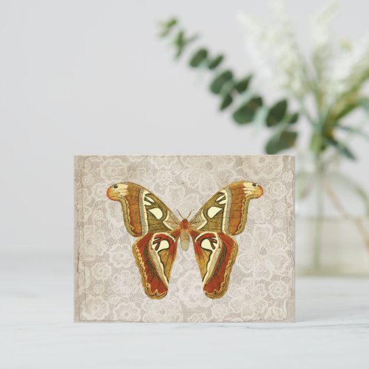 Moth Botanical Briefkaart (Staand voorkant)