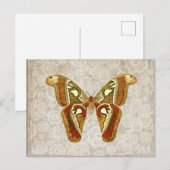   Moth Botanical Briefkaart (Voorkant / Achterkant)