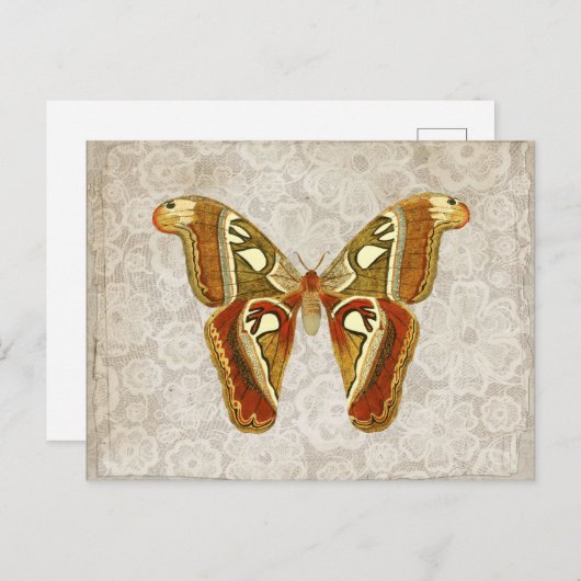 Moth Botanical Briefkaart (Voorkant / Achterkant)