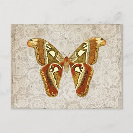   Moth Botanical Briefkaart (Voorkant)