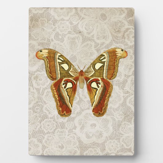   Moth Botanische Tafelblad Fotoplaat (voorkant)