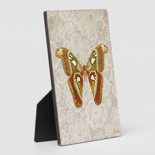 Moth Botanische Tafelblad Fotoplaat (Zijkant)