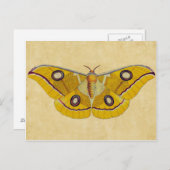 Moth Briefkaart (Voorkant / Achterkant)